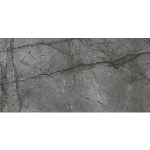 Керамогранит Bien Root Silver BIEN0022 120х60 см