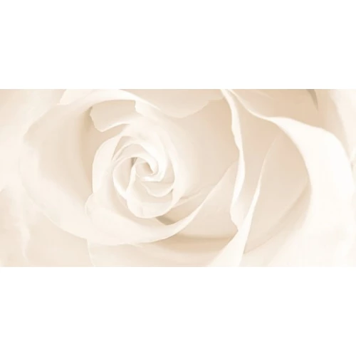 Вставка Cersanit Effecta бежевая 29,8x59,8 см