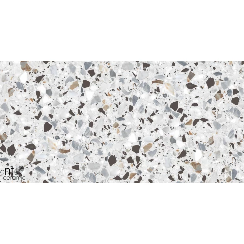 Керамогранит NT Ceramic Terrazzo White Матовый NTT99606 120х60 см