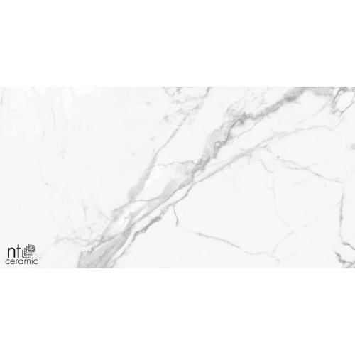 Керамогранит NT Ceramic Bright and Shiny NTT9100 Полированный BB612NTT9100P 120х60 см