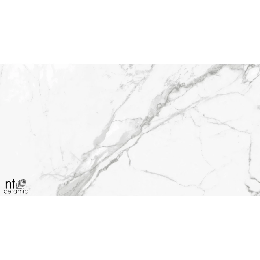 Керамогранит NT Ceramic Bright and Shiny NTT9100 Полированный BB612NTT9100P 120х60 см