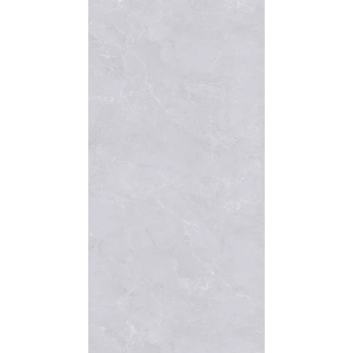 Керамогранит A-Ceramica Aktay Light глянцевый серый 176571 120х60 см