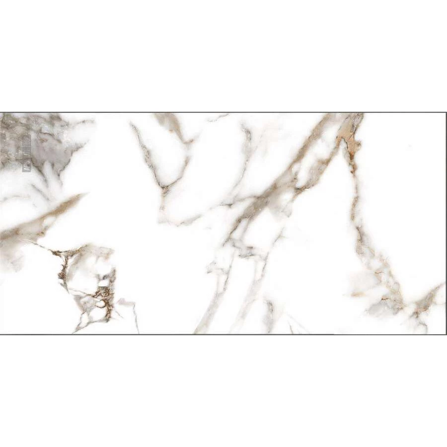 Керамогранит Absolut Gres Oro Bianco Gloss AB 1130G 120x60 см