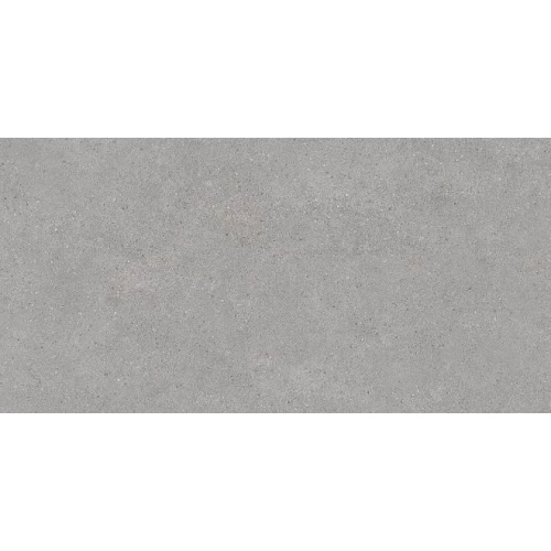 Керамогранит Kerama Marazzi Фондамента серый светлый обрезной DL500820R 119,5х60 см