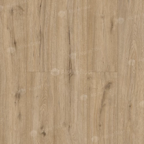 Каменный SPC ламинат Alpine Floor Solo Ларго ЕСО 14-6 34 класс 3.5 мм 2.23 кв.м 122х18.3 см