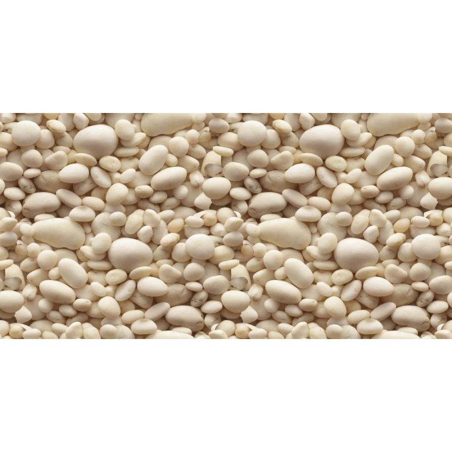 Декор Belani Сардиния белый 60*30 см