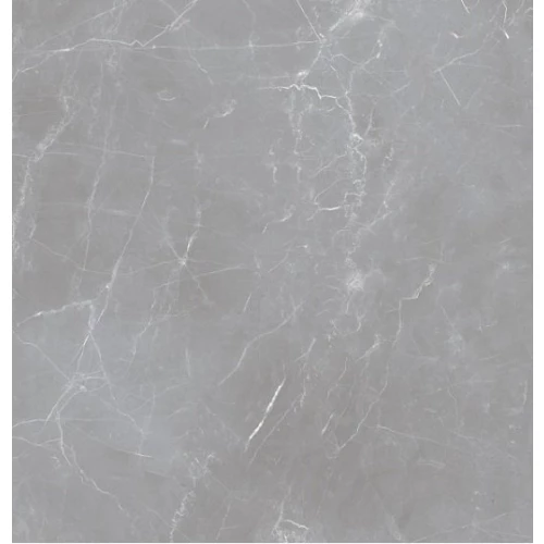 Керамогранит Ocean Ceramic Iran 20mm Arion Gray Dark IRN000041 60х60 см