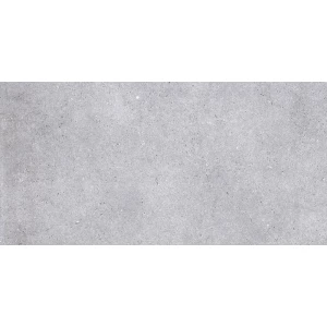 Керамогранит Primavera Nemo Light grey NR211 120х60 см