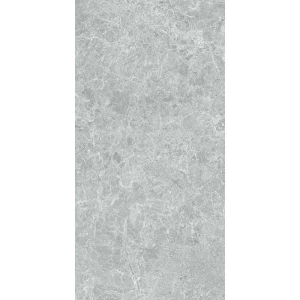 Керамогранит Stn ceramica Charisma P E 3DB grey mt rect 120х60 см