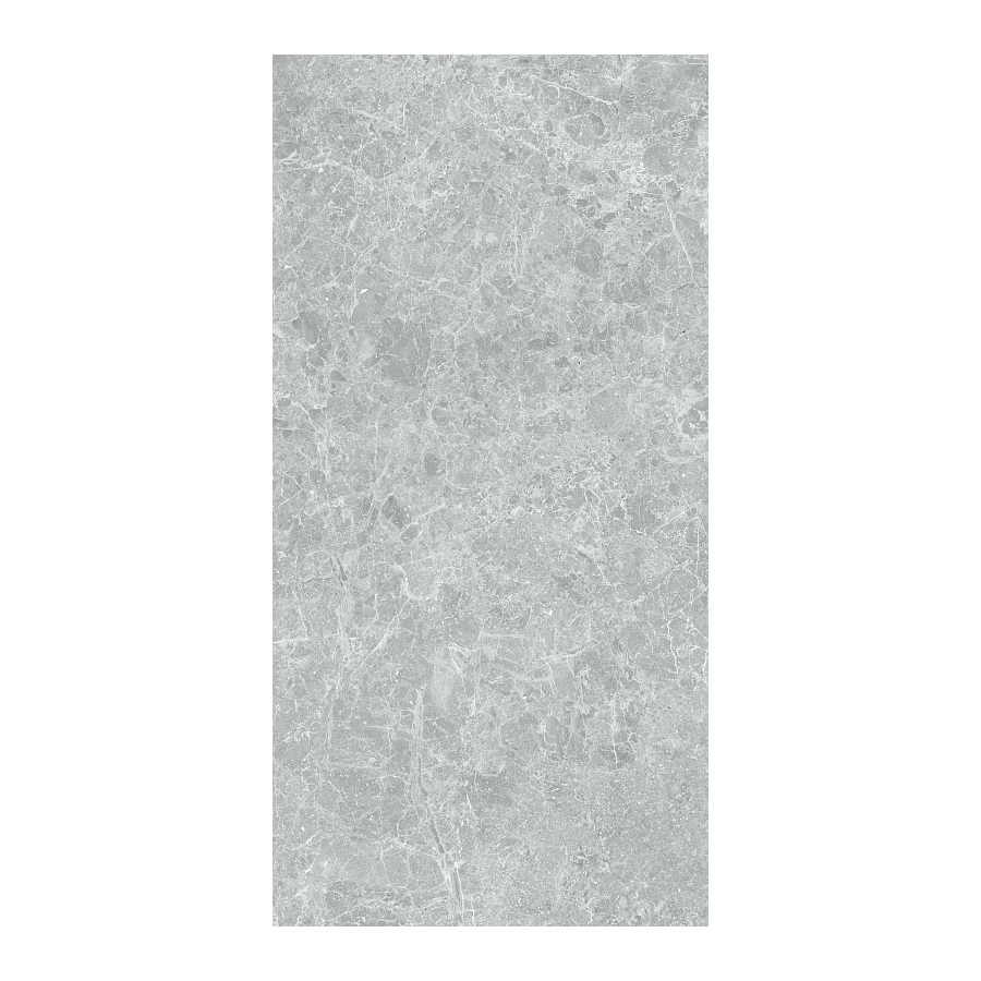 Керамогранит Stn ceramica Charisma P E 3DB grey mt rect 120х60 см