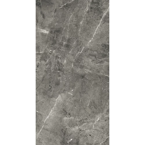 Керамогранит Arcadia Ceramica Florencia Grey Full Polished серый FP1028-A 120х60 см