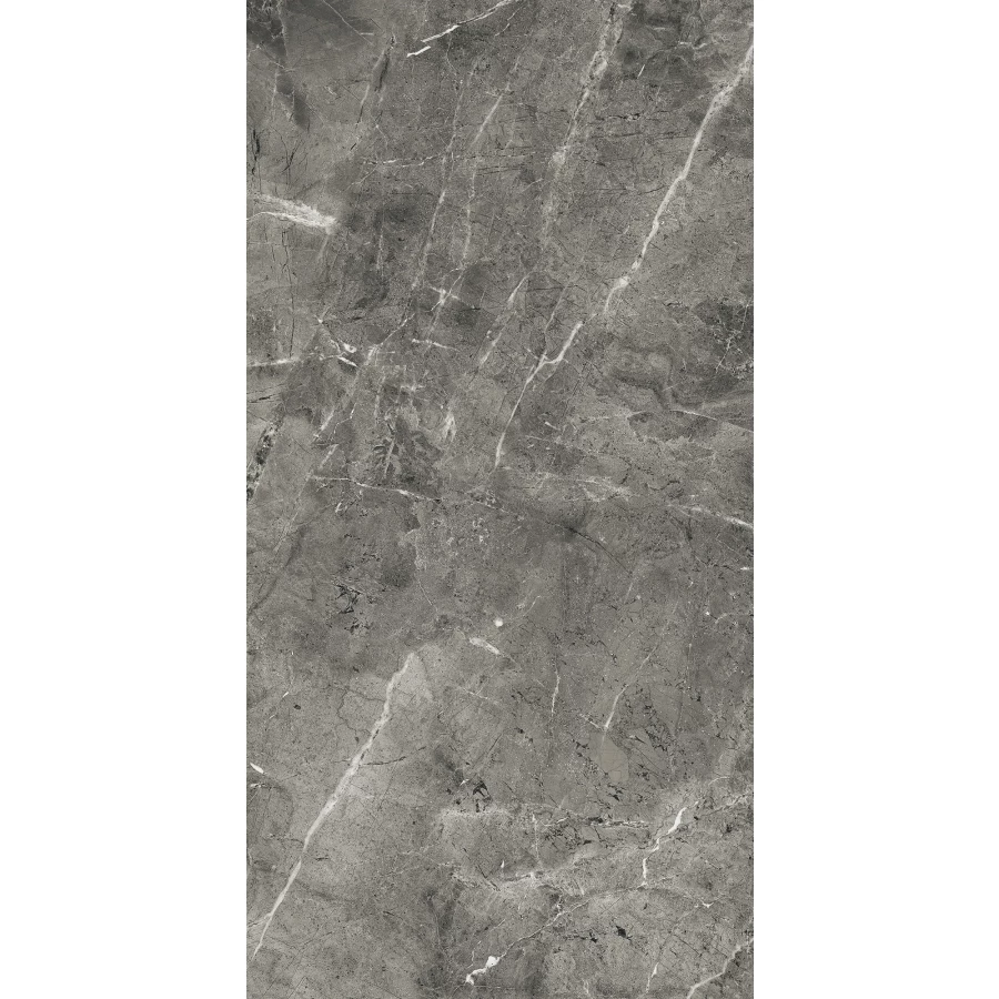 Керамогранит Arcadia Ceramica Florencia Grey Full Polished серый FP1028-A 120х60 см