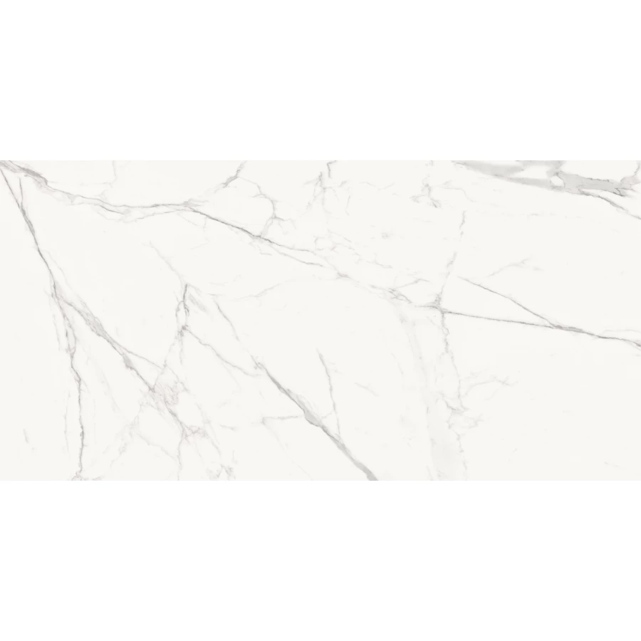 Керамогранит Delacora Porfido Carrara матовый белый 60120PFC15M 120х60 см