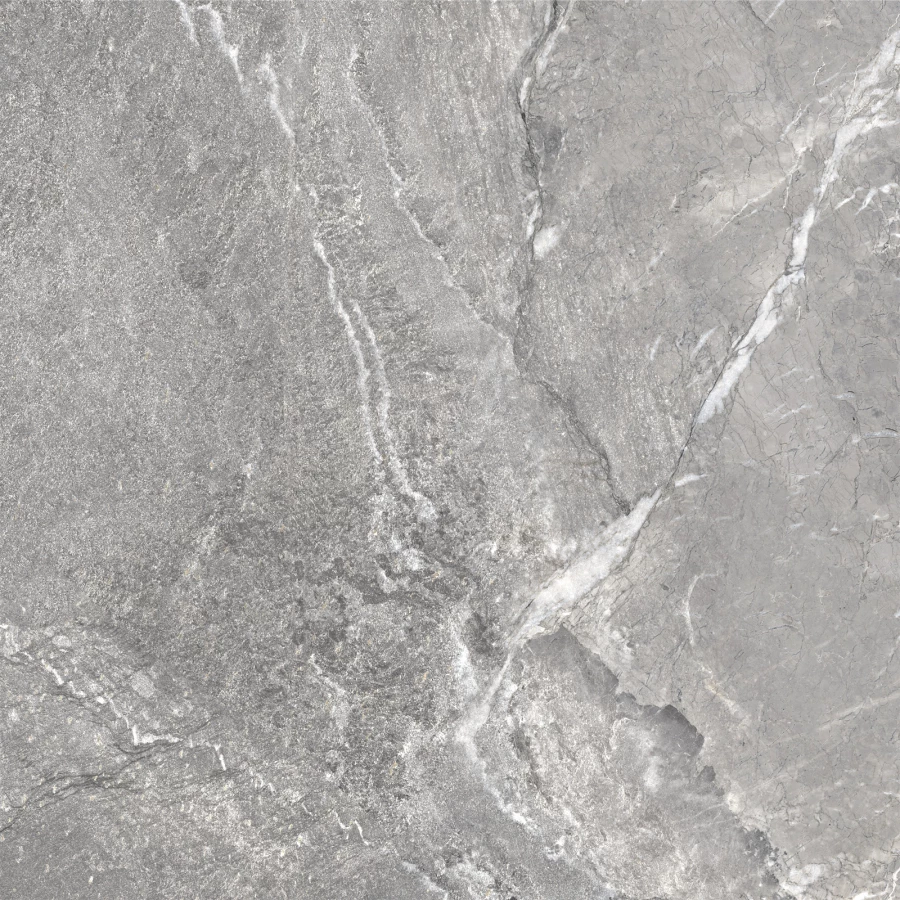 Керамогранит Delacora Wild Dark матовый серый D60260M 60х60 см