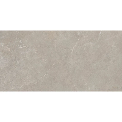 Керамогранит Impronta Arcadia Visone Real Up матовый серый IAD04BA 120х60 см
