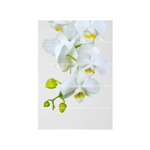 Декор ALMA Ceramica Флер ВС7ФЕ021 / DWU07FLR021 24,9х36,4