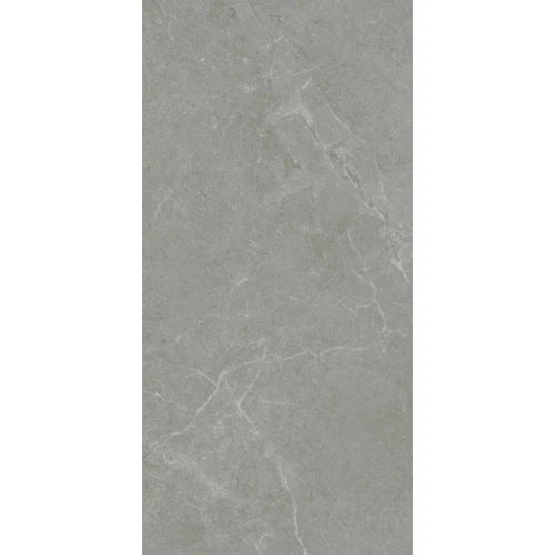 Керамогранит Realistik Ankara Semi Polished Matt серый JN12905F 120x60 см