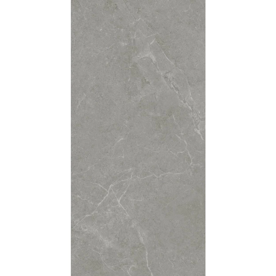 Керамогранит Realistik Ankara Semi Polished Matt серый JN12905F 120x60 см