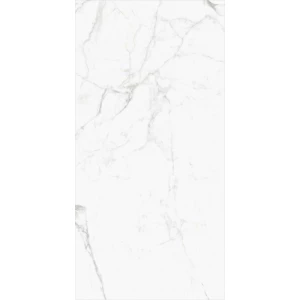 Керамогранит Global Tile Statuario Elite_GT Белый граниль GT120604103MGR 120х60 см