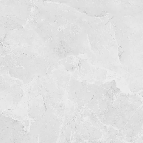 Керамогранит Laparet Berna Silver матовый светло-серый LP6060G0241R 59,5х59,5 см