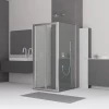 Душевой уголок RGW CL-31 P CL-21 + 2Z-12 Прозрачное 04094100-11P 100х100 см