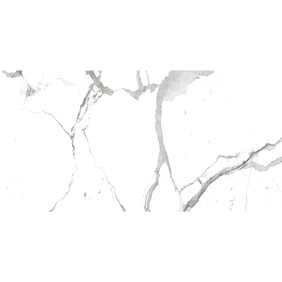 Керамогранит Royce Alps Statuario Matt 1,44 м2 R_NR2001 120х60 см