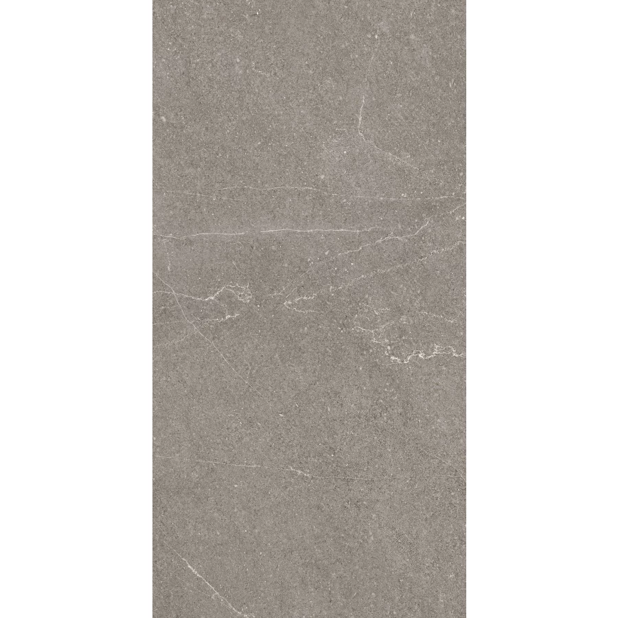 Керамогранит Arcadia Ceramica Equistone Graphite матовый серый RG6002-A 120х60 см