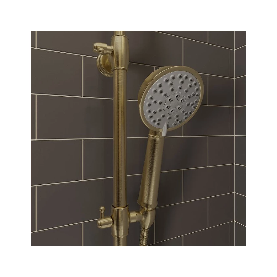 Лейка для душа Iddis Oldie OLD3F02i18 бронза