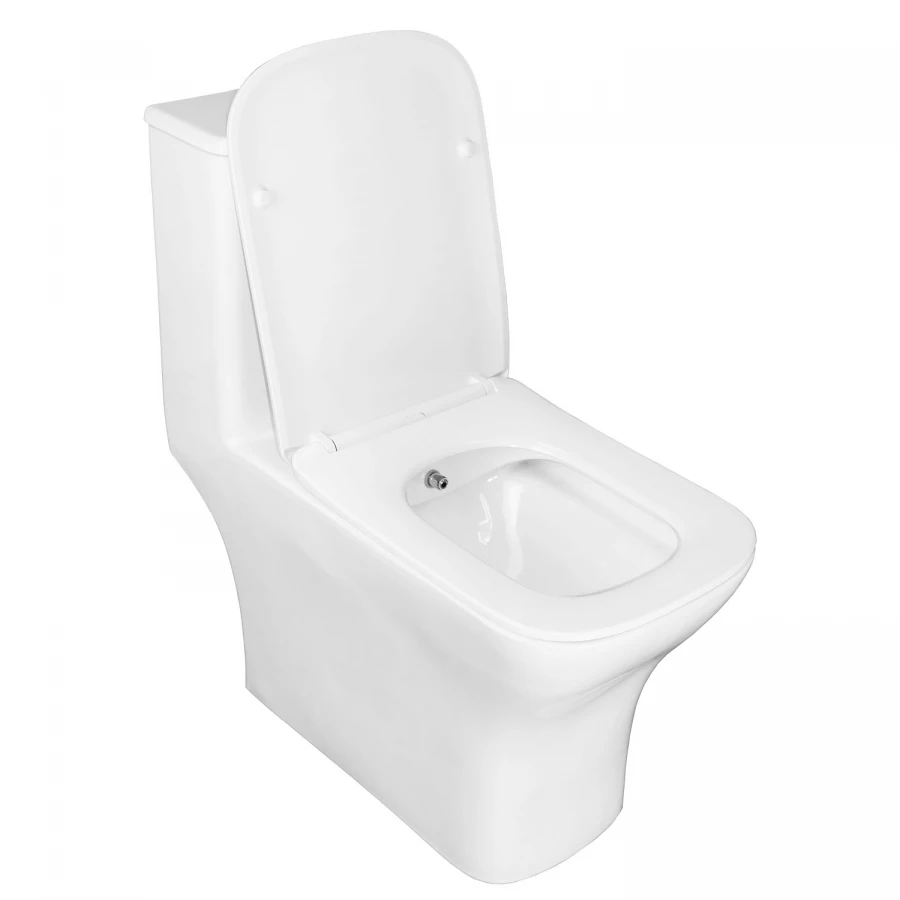 Унитаз моноблок с функцией биде Azario Lodi напольный безободковый горизонтальный слив сиденье дюропласт микролифт AZ-8617B 35х66.5х75 см