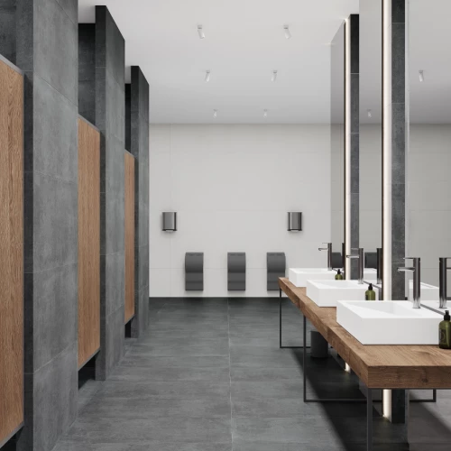 betonica-graphito-pro