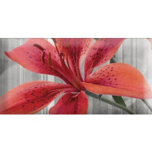 Декор Absolut Keramika Monocolor Mix Flowers RBW ABC0000118 15х7.5 см