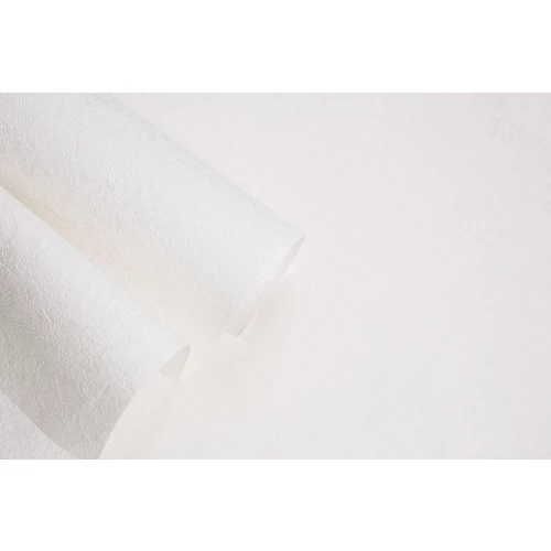 Обои флизелиновые Palitra Home HomeColor Colorist белые 426-01 1.06х25 м