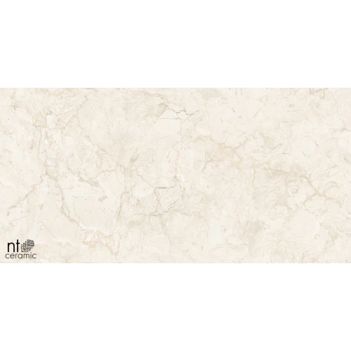 Керамогранит NT Ceramic Gravel Stone Almond Endless Карвинг NTT99523C 120х60 см