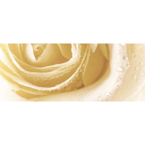 Декор Cerrol Syntia Rose 3 20х50