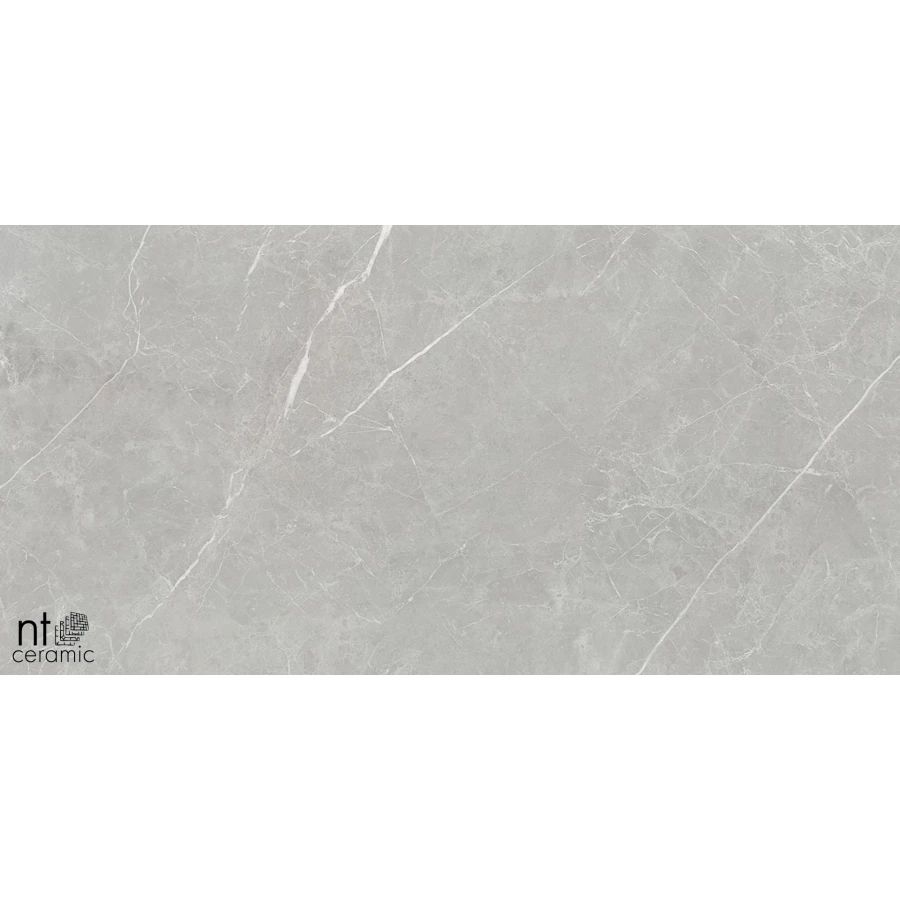 Керамогранит NT Ceramic Pietra NTT1101 Лаппатированный PT612NTT1101L 120х60 см