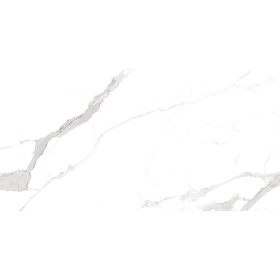 Керамогранит Ocean Ceramic India India 60Х120 Statuario Orindo матовый белый OC0000213 120х60 см