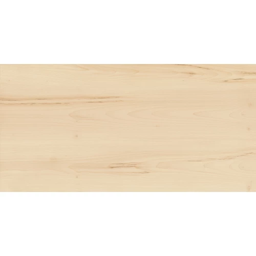 Керамогранит Italon Element Wood Acero натуральный 610010001079 120х60 см