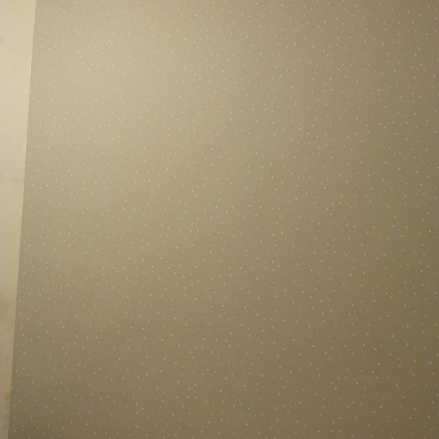 Обои флизелиновые Palitra Home HomeColor Wonderful серые HC71536-14 1.06x10.05 м