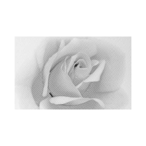 Декор Шахтинская плитка Камелия чёрно-белый 02 25х40