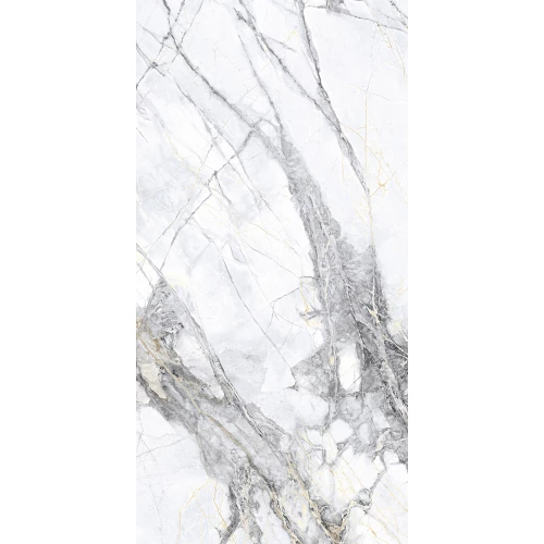 Керамогранит Arcadia Ceramica Malta Bianco Carving бело-серый CR4018-A 120х60 см