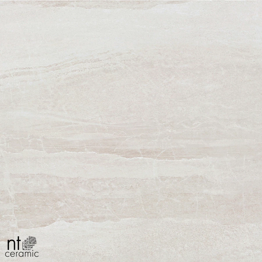 Керамогранит NT Ceramic Zeus NTT9702 Матовый ZS6NTT9702M 60х60 см