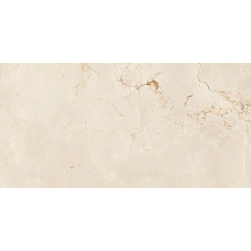 Керамогранит Maimoon Ceramica Itacid criox moss 120х60 см