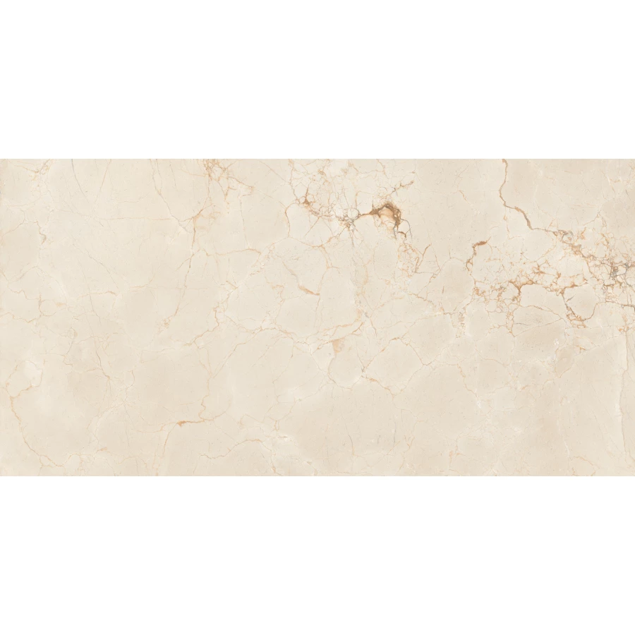 Керамогранит Maimoon Ceramica Itacid criox moss 120х60 см