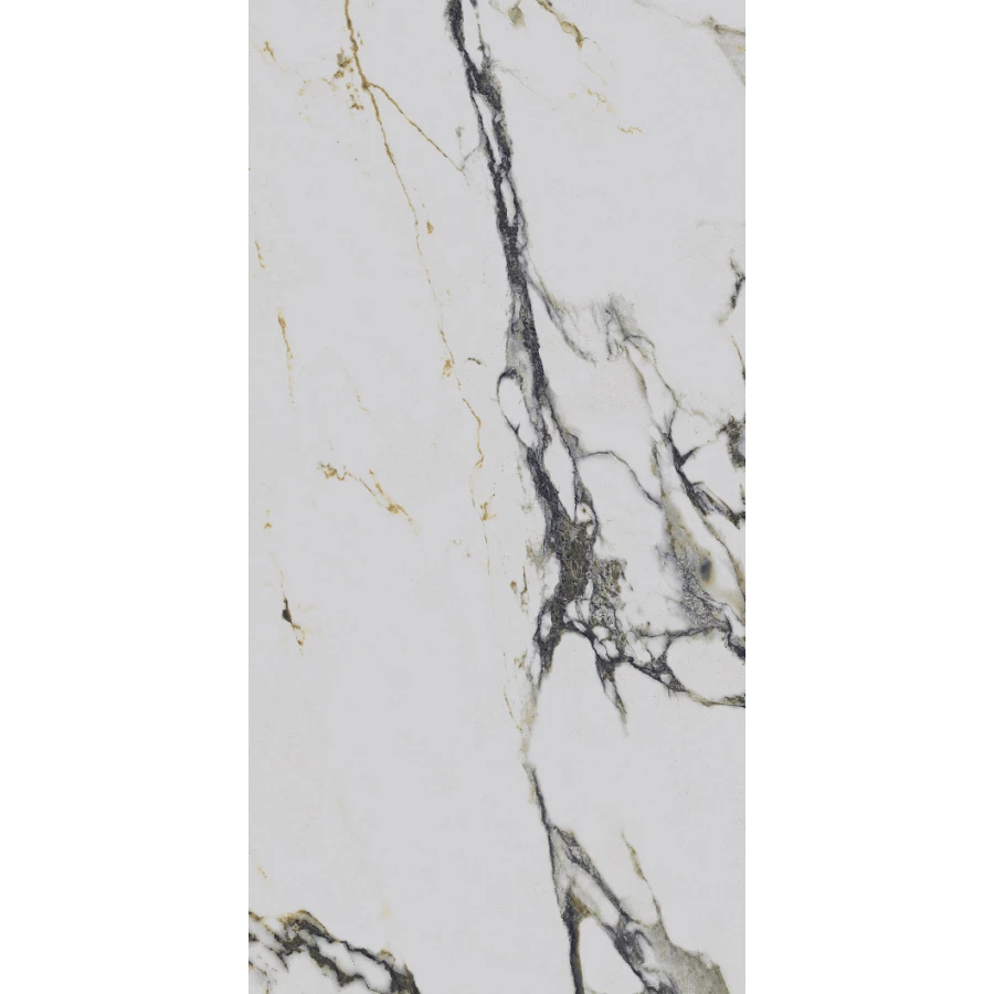 Керамогранит Primavera Fantasy Mix polished 1,44 м2 48,96 м2 PR219 120х60 см