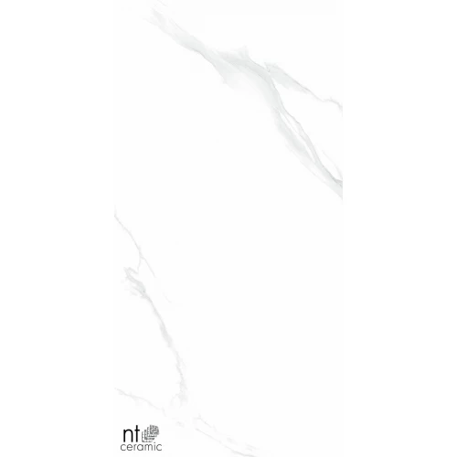 Керамогранит NT Ceramic Bright and Shiny Statuario Полированный NTT9106P 120х60 см