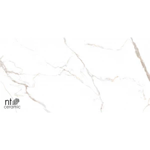 Керамогранит NT Ceramic Bright and Shiny NTT9122M Barbara White mat Матовый NTT9122M 120х60 см