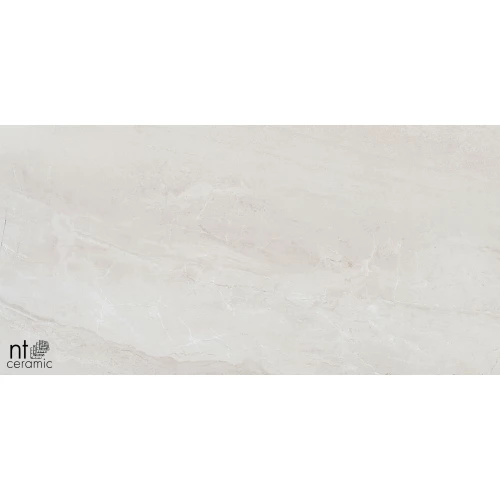 Керамогранит NT Ceramic Zeus NTT9702 Полированный ZS612NTT9702P 120х60 см