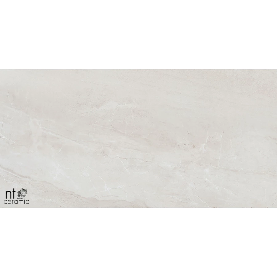 Керамогранит NT Ceramic Zeus NTT9702 Полированный ZS612NTT9702P 120х60 см