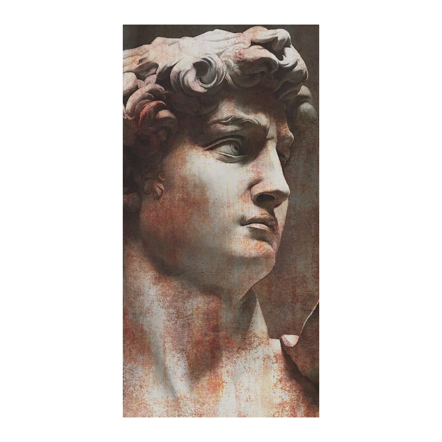 Керамогранит Kerama Marazzi Ковры Давид 1 матовый коричневый VT\A564\SG591820R 238,5х119,5 см