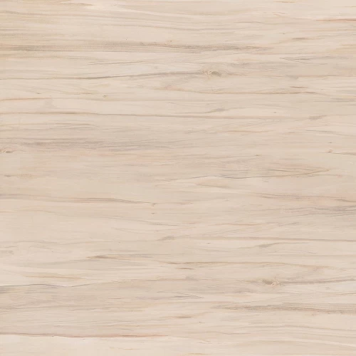 Керамогранит напольный Cersanit Botanica_Cers Коричневый BN4R112 42*42 см